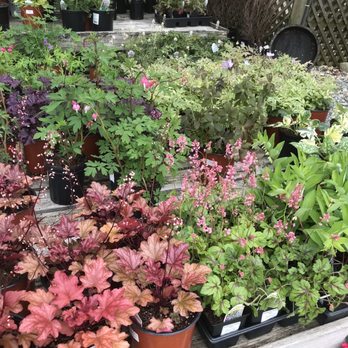Greenstreet Gardens - Nurseries & Gardening Near Me - Lothian, Maryland