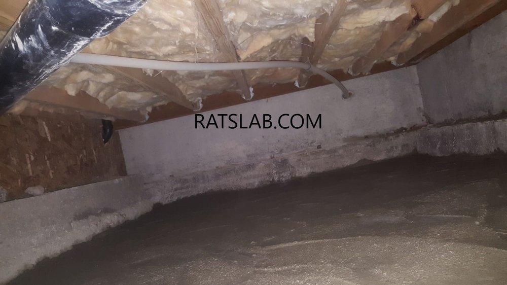 Slide of RatSlab Crawl Space Encapsulation & Waterproofing Services