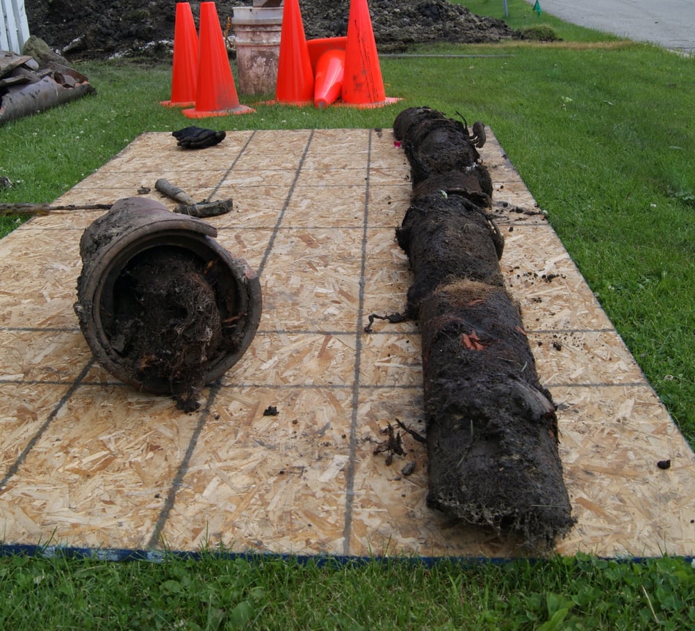 Slide of All Clear Sewer Works