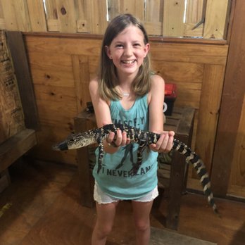 Gator Country - Zoos Near Me - Beaumont, Texas