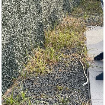 Artificial Grass Direct TX - More weeds - Artificial Turf Near Me - Houston, Texas Artificial Grass Direct TX - More weeds - Artificial Turf Near Me - Houston, Texas