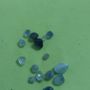 Photo of GEM Jewelers