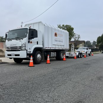 New Season Tree Services - Tree Services Near Me - Riverside, California New Season Tree Services - Tree Services Near Me - Riverside, California