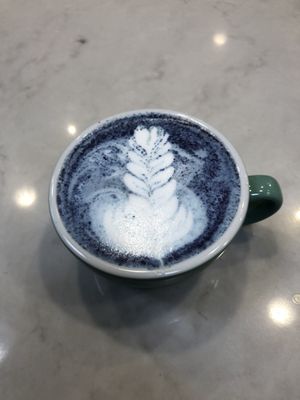 Bluestone Lane Dupont Circle Coffee Shop by null