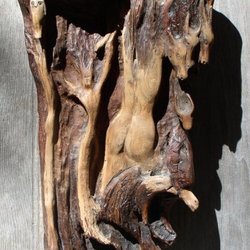 Sofanya's Dome Gallery & Studios - Earth Creatures Redwood