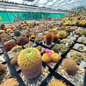 Sukkulentensammlung - Botanical Gardens Near Me - Zürich, ZH