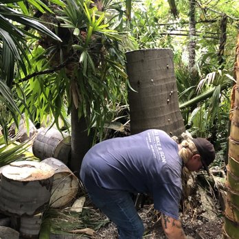 Big Mike & Sons' Tree Service - Tree Services Near Me - Costa Mesa, California Big Mike & Sons' Tree Service - Tree Services Near Me - Costa Mesa, California