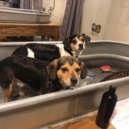 Bath tub Bath tub