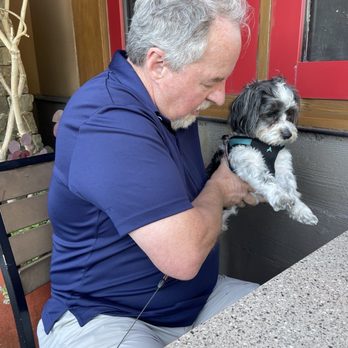 Lazy Dog Restaurant & Bar - Training in public spaces - New American Near Me - Valencia, California Lazy Dog Restaurant & Bar - Training in public spaces - New American Near Me - Valencia, California