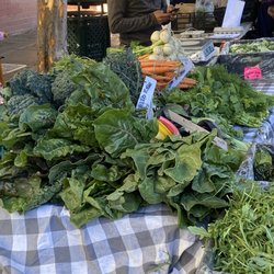 County Line Harvest - Greens and Root Crops at the Clement Street Farmers Market San Francisco