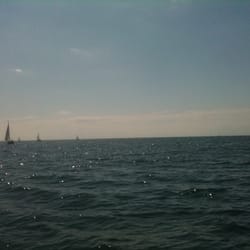 Ross Boat Trips