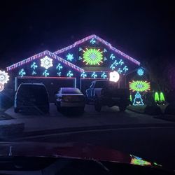 Badger Family Light Show