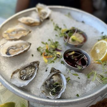 C Level - Oysters on the Half Shell - New American Near Me - San Diego, California C Level - Oysters on the Half Shell - New American Near Me - San Diego, California