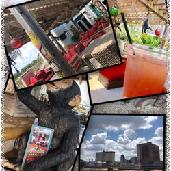 The Busted Coconut - Collection of images at the Busted Coconut
