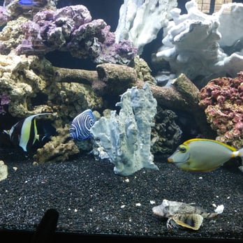 Photos For The Ocean Floor Yelp