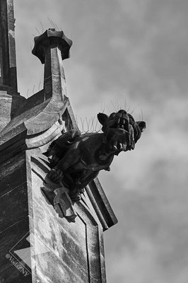 Cathedral of St. Peter and Paul by null