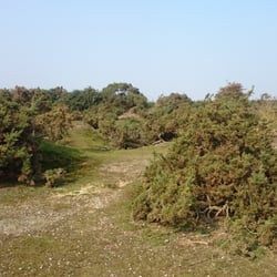 Tobys Walks - Tobys walks Suffolk near Blythburgh