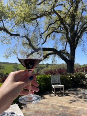 Denner Vineyards by null