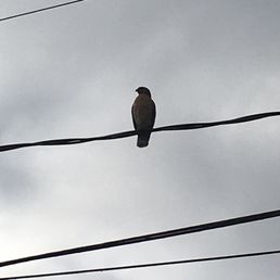 Gold Rock Rv Park 12 Photos Rv Parks 803 Old Mission Rd New Smyrna Beach Fl Phone Number Yelp