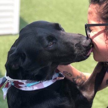 Pet Palace - Cary - Pet Groomers Near Me - Cary, North Carolina Pet Palace - Cary - Pet Groomers Near Me - Cary, North Carolina