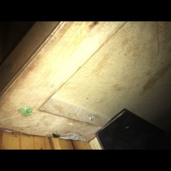 Gator's Dockside - Roach crawled under table gator dockside oka leaf - Chicken Wings Near Me - Jacksonville, Florida Gator's Dockside - Roach crawled under table gator dockside oka leaf - Chicken Wings Near Me - Jacksonville, Florida