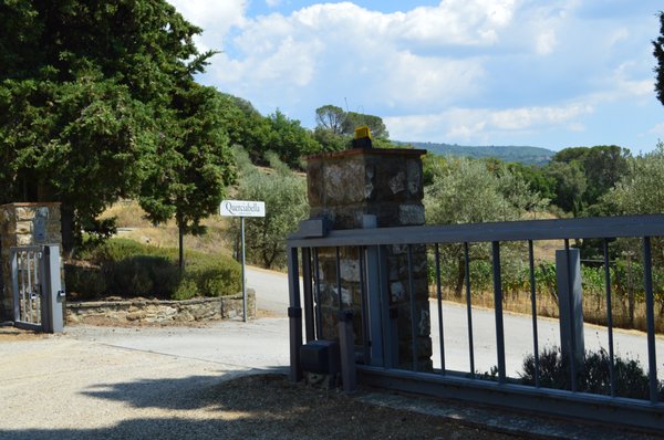 Querciabella · Società Agricola Querciabella SpA by null