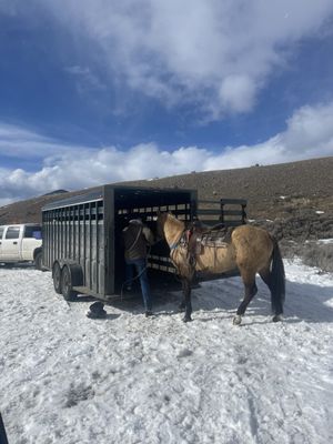 Jake's Horses Inc. by null