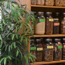 ShuiLian Yu Acupuncture - Chinese herbs represent an important part of a holistic approach to wellness