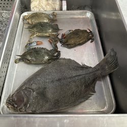 TBT Butcher Shop And Seafood Market - Flounder and crabs