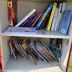 Little Free Library
