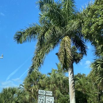 Siesta Key Beach - Beautiful blue sky and palms - Beaches Near Me - Sarasota, Florida Siesta Key Beach - Beautiful blue sky and palms - Beaches Near Me - Sarasota, Florida