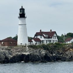 The Cookie Jar - Portland Headlight