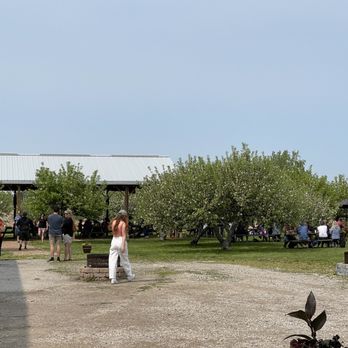 Bad Apple Brewing - Live music and drinks by the apple trees - Breweries Near Me - Zurich, Ontario