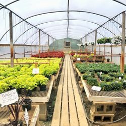 Plant Place