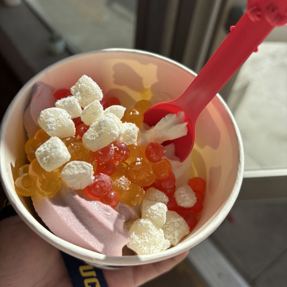 Yogurt World UCSD - Ice Cream & Frozen Yogurt Near Me - La Jolla, California Yogurt World UCSD - Ice Cream & Frozen Yogurt Near Me - La Jolla, California