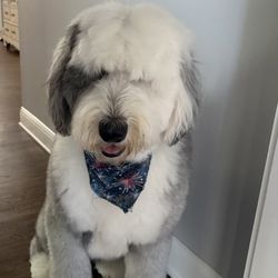 Grooming Garage