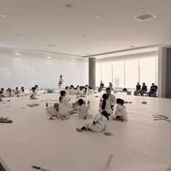 Art of Jiu Jitsu - Kids class
