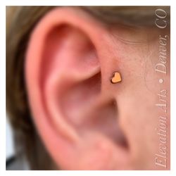 Elevation Arts Tattoo & Piercing Studio