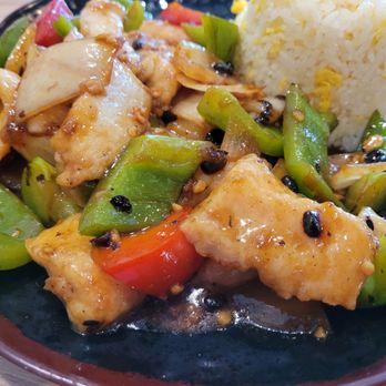 Hong Kong City Cafe - Fish Filet in Black Bean sauce, lunch plate - Chinese Near Me - Alameda, California Hong Kong City Cafe - Fish Filet in Black Bean sauce, lunch plate - Chinese Near Me - Alameda, California