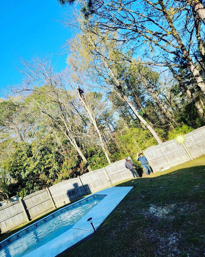 Paz Tree And Stump - tree service in Charleston, SC