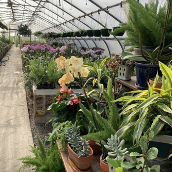 Stony Hill Gardens - Florists Near Me - Chester, New Jersey Stony Hill Gardens - Florists Near Me - Chester, New Jersey