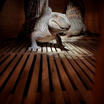 Ark Encounter - Arc - Museums Near Me - Williamstown, Kentucky
