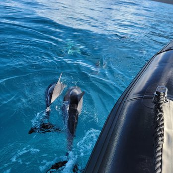 Na Pali Pirates - Boat Tours Near Me Na Pali Pirates - Boat Tours Near Me