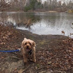 Bennett's Pond