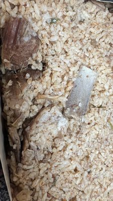 Kongunadu Indian Restaurant by null