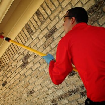 Turner Pest Control - Pest Control Near Me - Gainesville, Florida Turner Pest Control - Pest Control Near Me - Gainesville, Florida