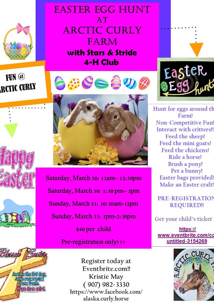 Arctic Curly Farm - equestrian in Wasilla, AK