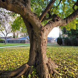 Riviera East Park