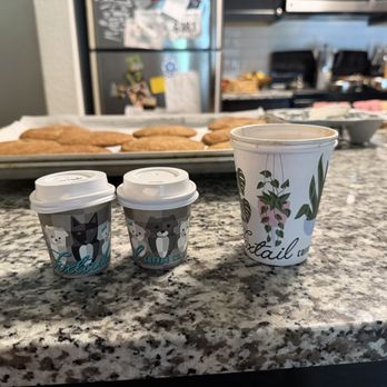 Foxtail Coffee - Doppio, Cortado, Flat White - Coffee & Tea Near Me - Fort Myers, Florida Foxtail Coffee - Doppio, Cortado, Flat White - Coffee & Tea Near Me - Fort Myers, Florida