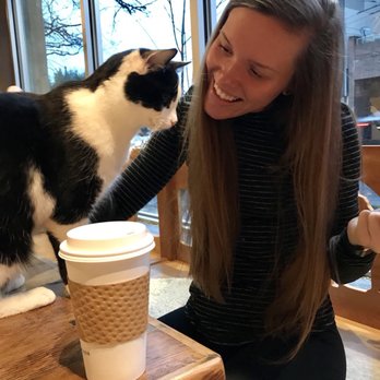 Seattle Meowtropolitan - Themed Cafes Near Me - Seattle, Washington Seattle Meowtropolitan - Themed Cafes Near Me - Seattle, Washington